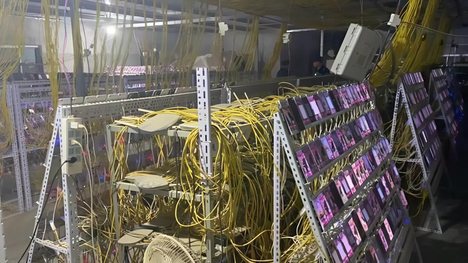Tịch thu hơn 20.000 điện thoại phát sáng 24/7 và 32 tỷ đồng trong một căn nhà cũ- Ảnh 1.
