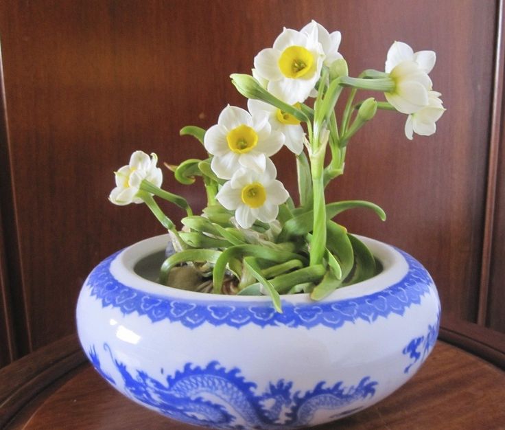 5 loại hoa trên bàn thờ Thần Tài: Đúng lễ nghi, chuẩn phong thuỷ, tài lộc kéo về ào ào- Ảnh 3.