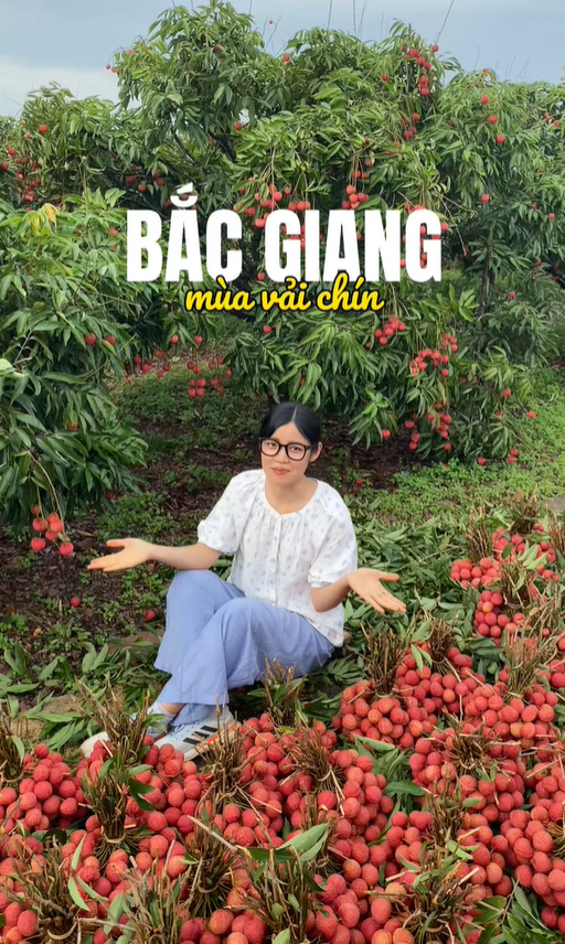 "Khối nghỉ hè" dùng TikTok rao bán vải hộ bố mẹ, 2h sáng được huy động ra vườn soi đèn thu hoạch- Ảnh 1.