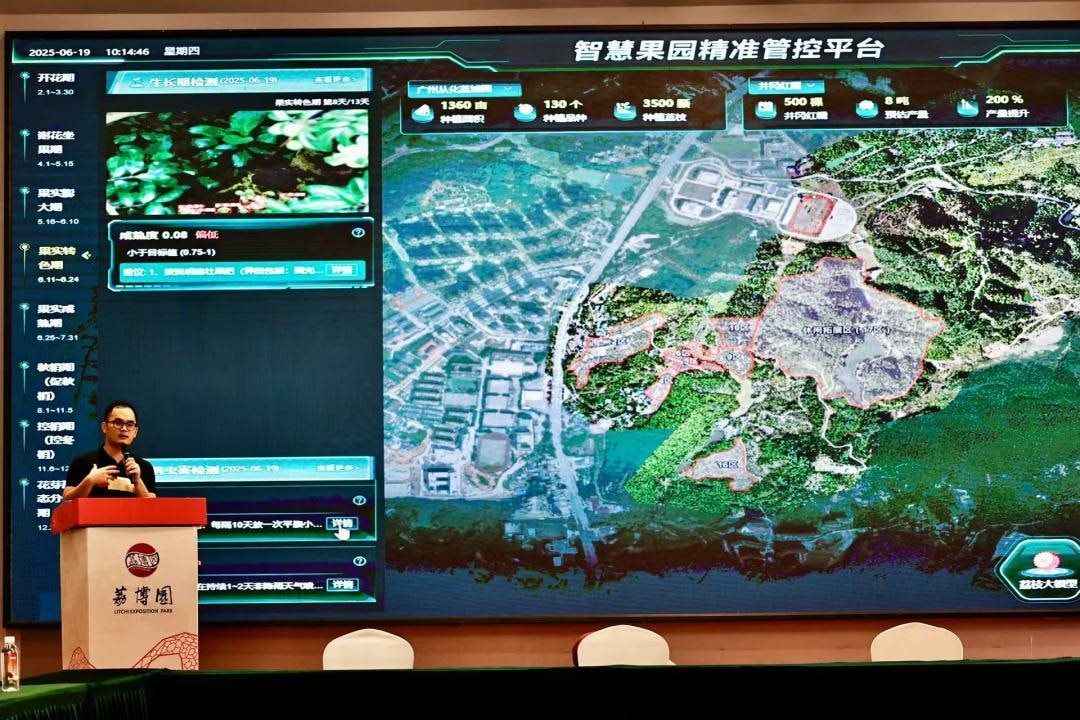 Drone bay ngợp trời, robot len qua từng gốc cây: Thủ phủ vải thế giới thu về hàng triệu tấn quả tươi nhờ ứng dụng công nghệ vệ tinh và AI tiên tiến nhất- Ảnh 2.