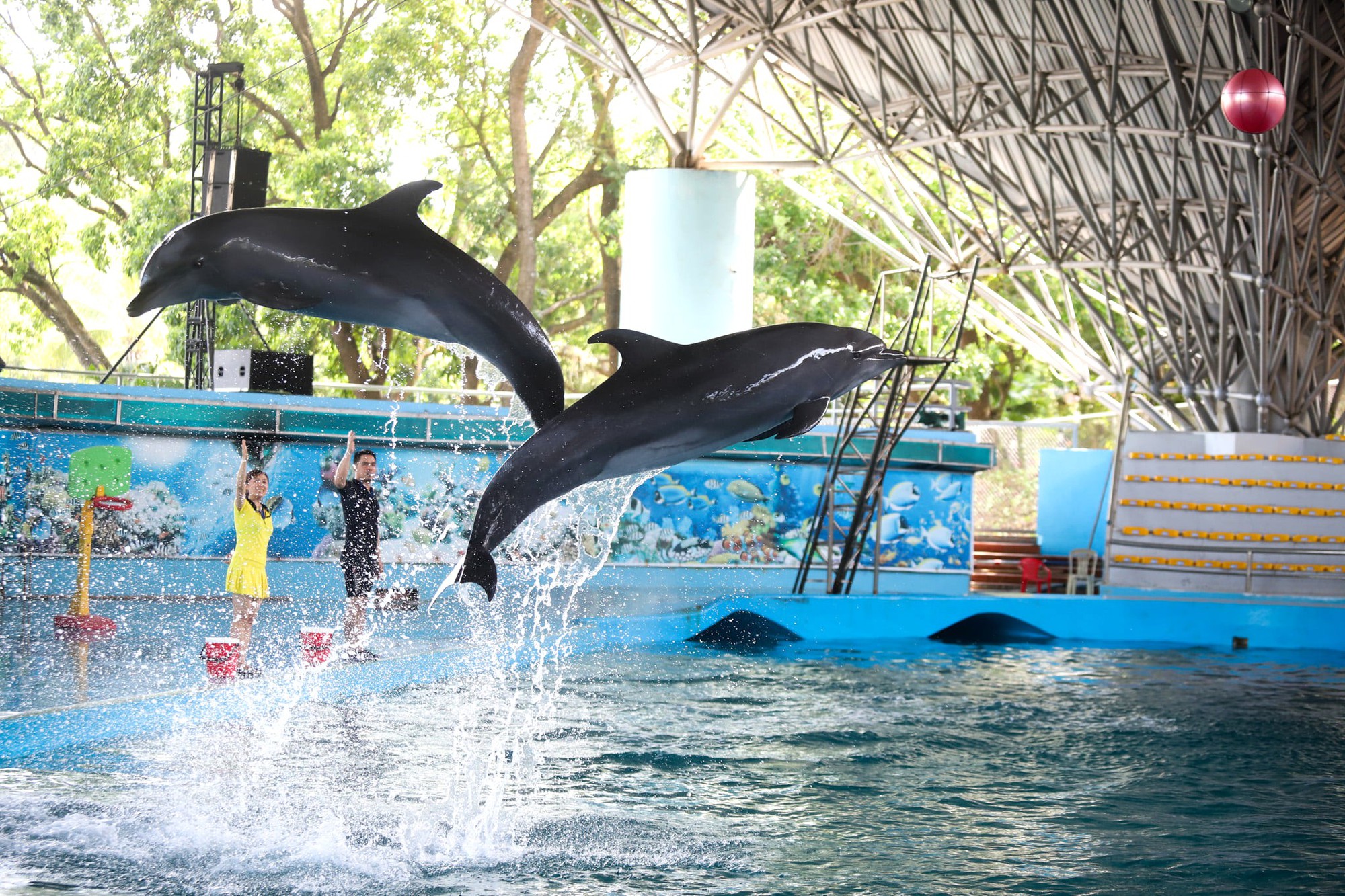 Tuần Châu Park: Điểm đến lý tưởng cho mùa hè sôi động tại Quảng Ninh- Ảnh 1.