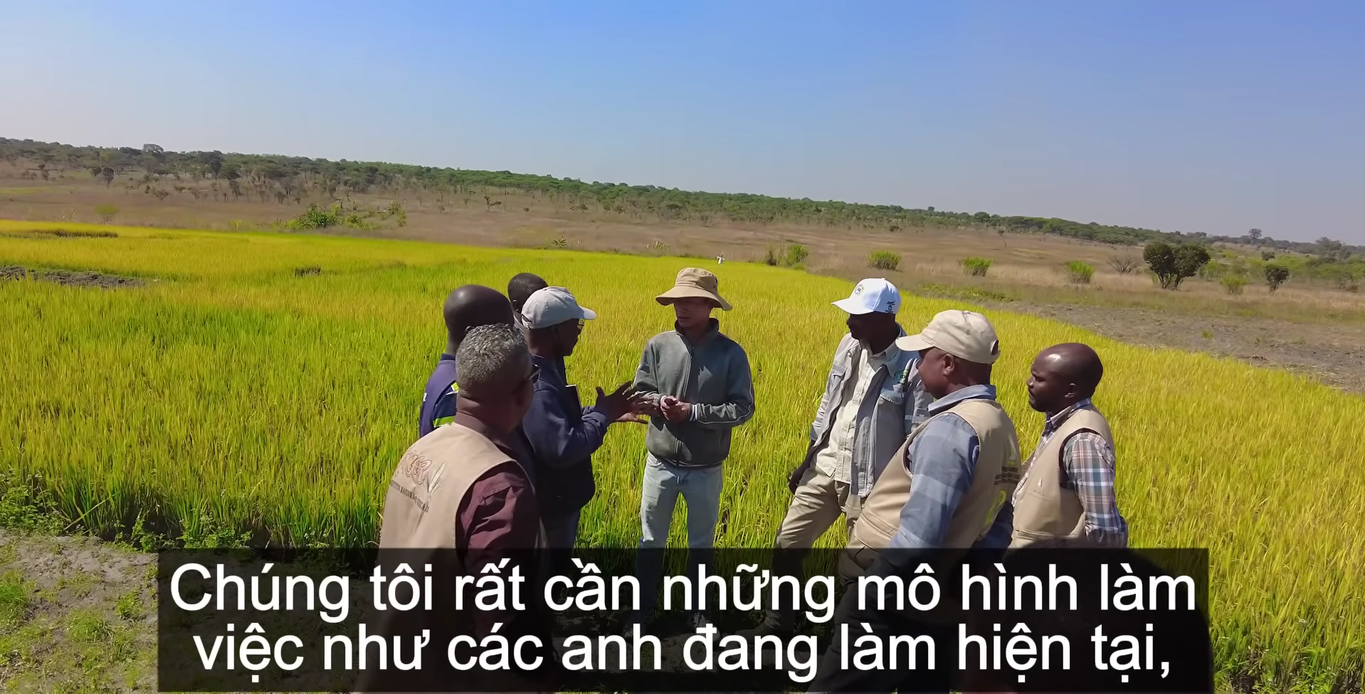 Sở Nông nghiệp Angola đến tận nơi xem team châu Phi thu hoạch lúa, được thưởng thức món nước giải khát đậm chất Việt Nam- Ảnh 5.