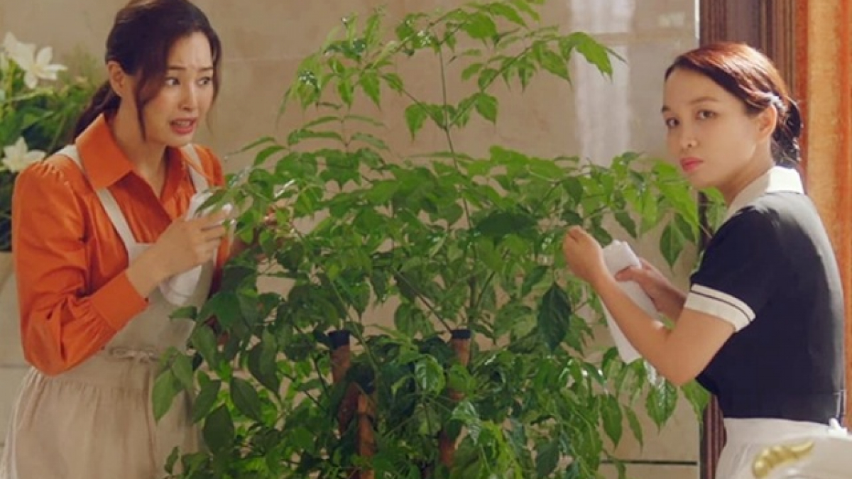 Nữ diễn viên Việt duy nhất đóng chính phim Hàn dài 150 tập, được cả đài quốc gia tung hô mới đáng nể- Ảnh 4. Nữ diễn viên Việt duy nhất đóng chính phim Hàn dài 150 tập, được cả đài quốc gia tung hô mới đáng nể- Ảnh 4.