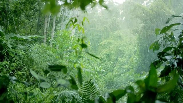 Đá basalt từ núi lửa triệu năm – Bộ lọc kỳ diệu tạo nên “kho báu” nước ngầm tinh khiết- Ảnh 2.