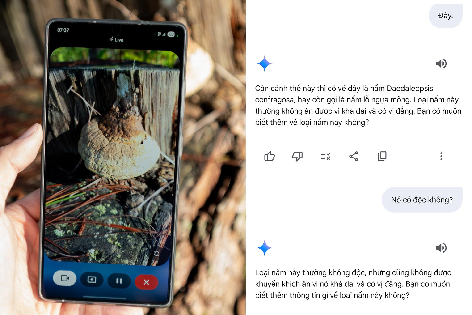 Khám phá Bidoup - Núi Bà cùng Galaxy S25 Series và “hướng dẫn viên AI” Gemini Live- Ảnh 6.
