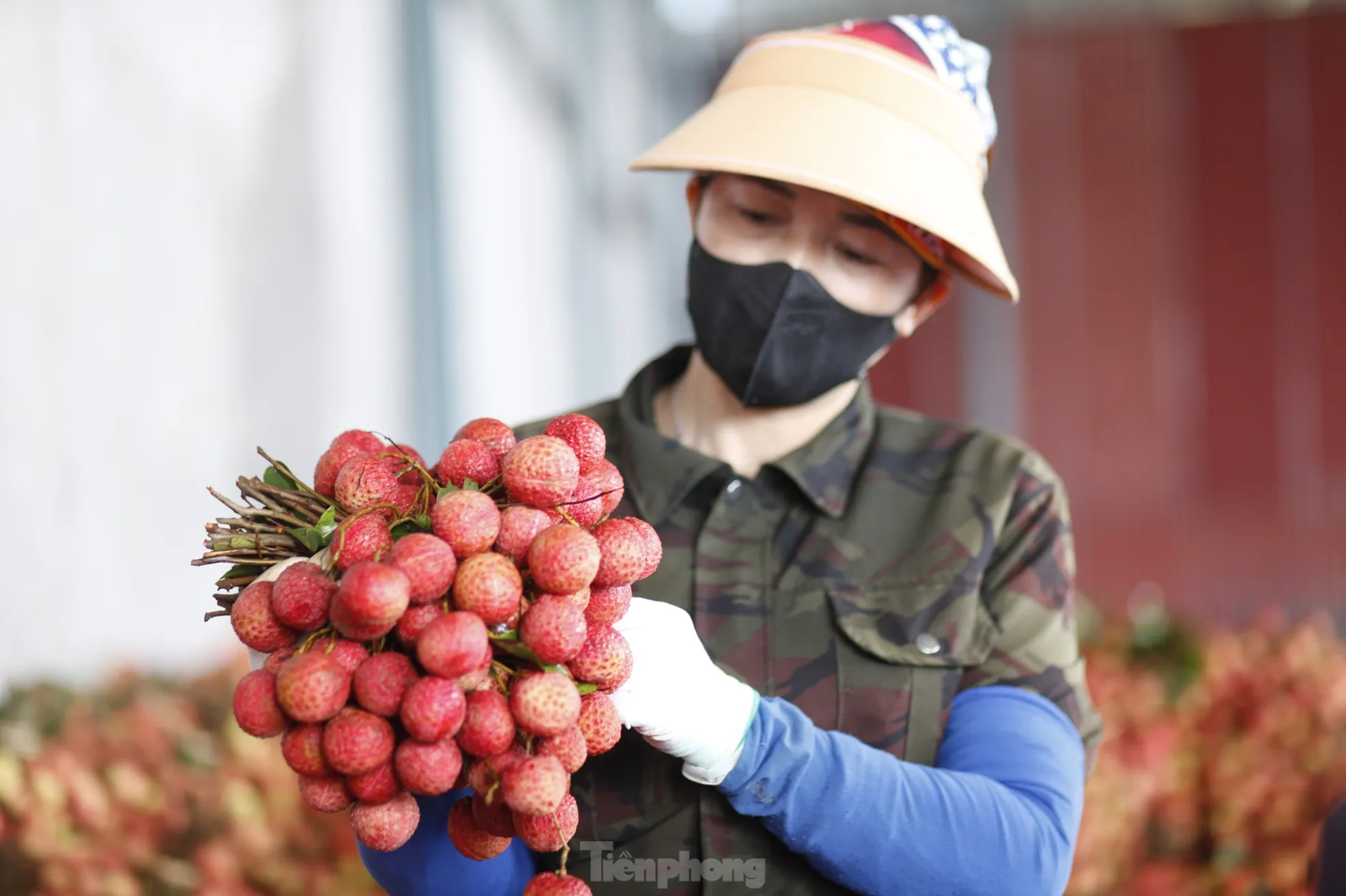 Đi chợ vải thiều Bắc Giang- Ảnh 10.