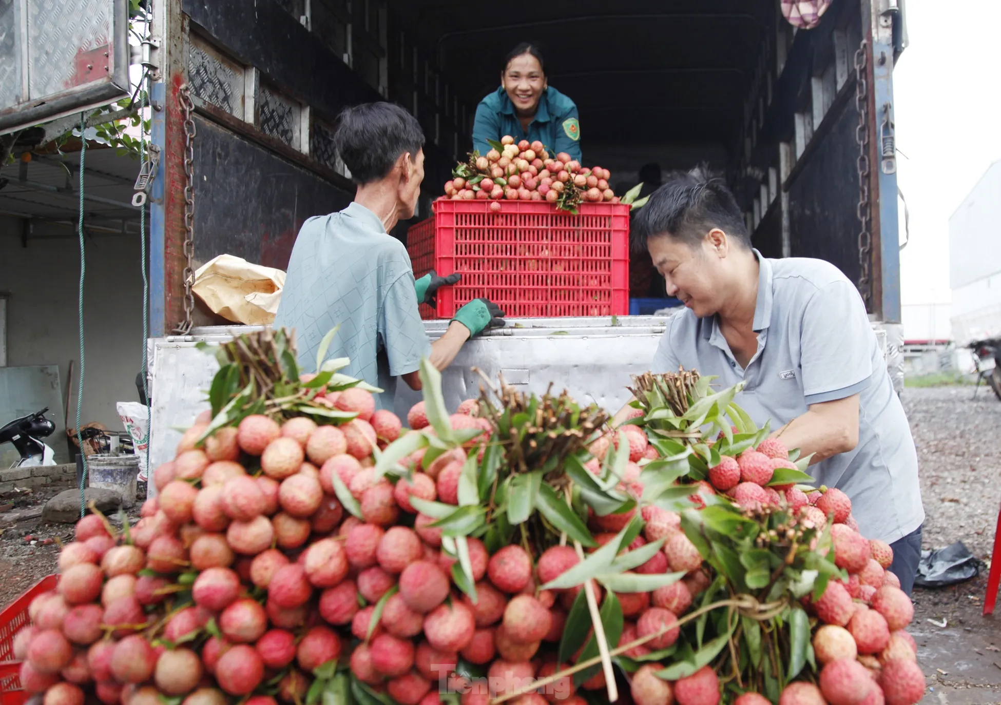 Đi chợ vải thiều Bắc Giang- Ảnh 11.