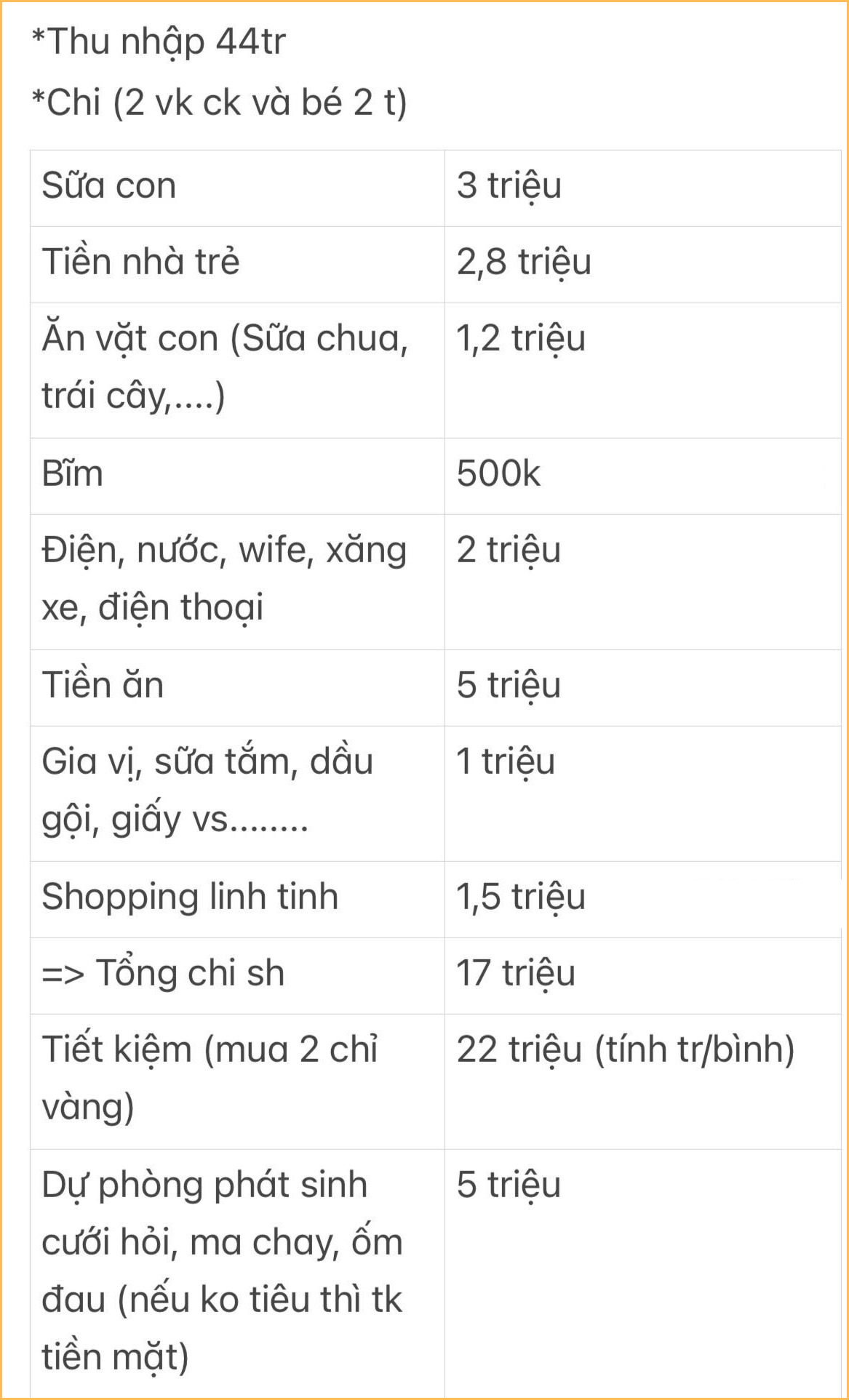 Bảng chi tiêu rất được của cặp vợ chồng dành 22 triệu/tháng mua vàng- Ảnh 1.