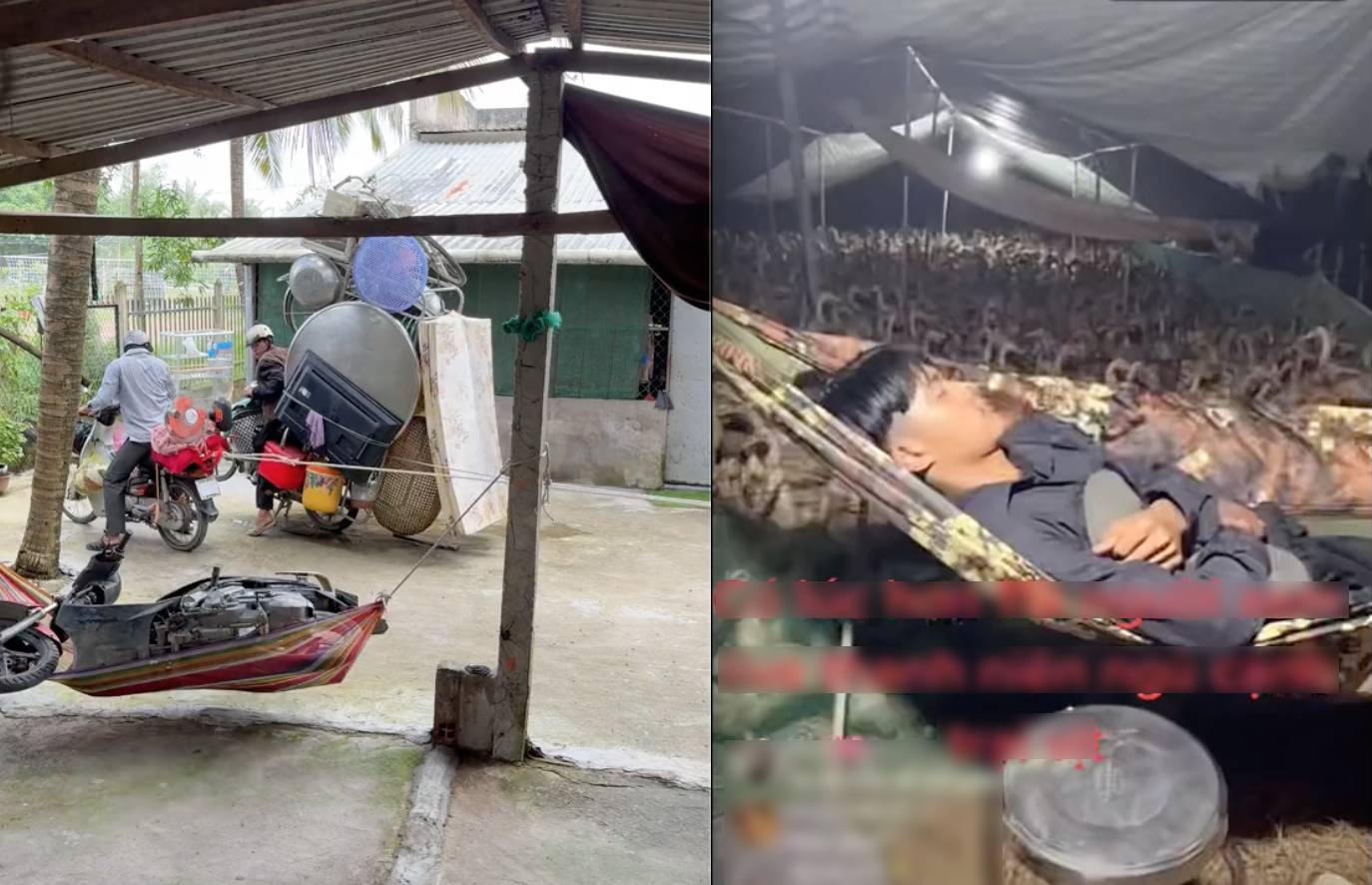 Món đồ mà nhà nào ở miền Tây cũng phải có: "Ăn cơm xong nằm đu đưa là hết sảy"!- Ảnh 1.