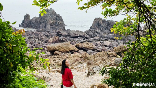 Phát hiện hòn đảo được ví là "hòn ngọc xanh" ngay ở Cửa Lò, du khách nhận xét: Không nghĩ đẹp đến vậy!- Ảnh 6.