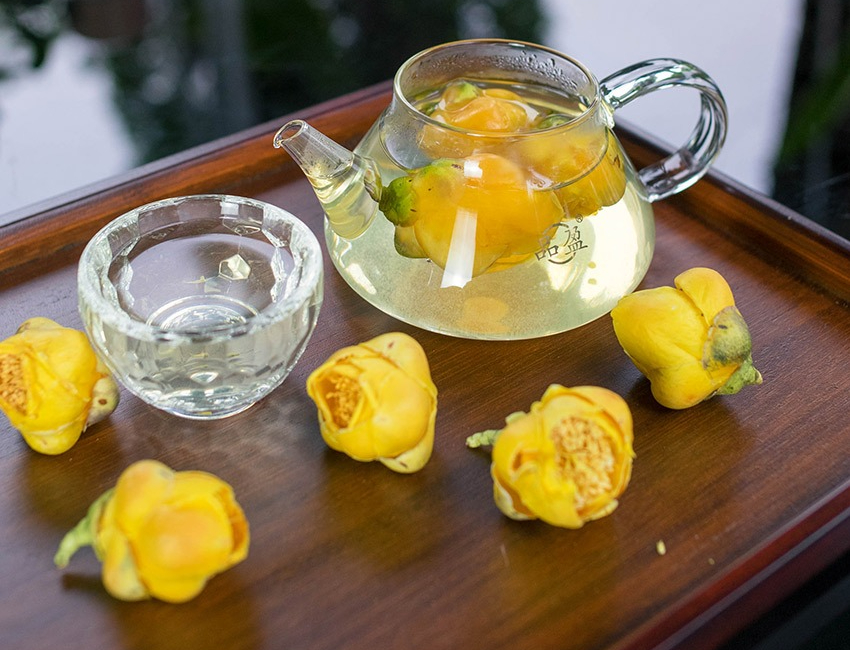 Loài cây nhà giàu coi như báu vật, trồng đâu lộc đó, tiền tụ như mây kéo- Ảnh 3.