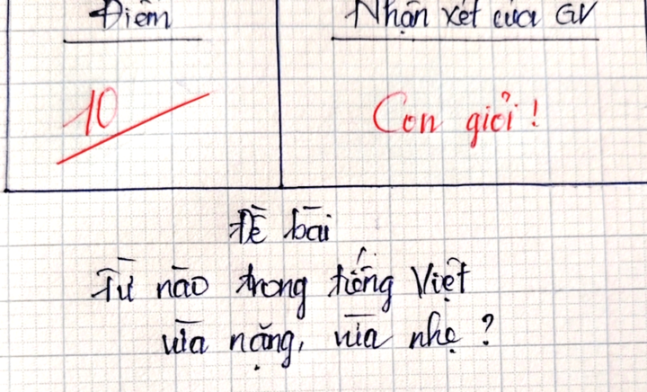 Từ nào trong Tiếng Việt vừa nặng, vừa nhẹ?- Ảnh 1.
