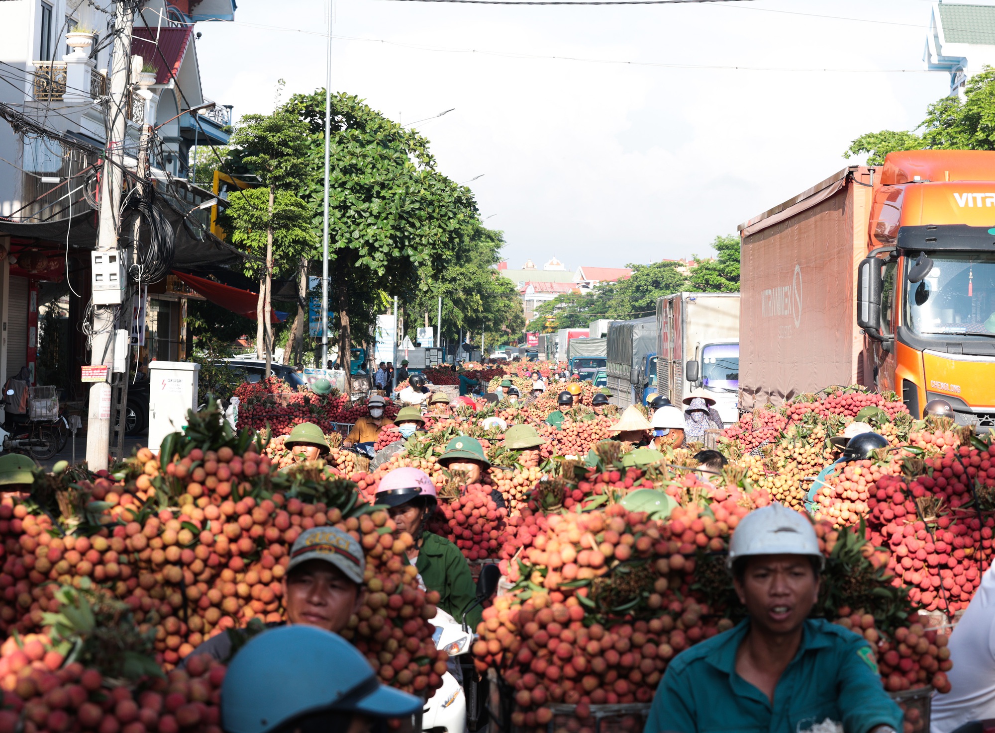 Sáng mùng 1 âm lịch, người dân Bắc Giang bàng hoàng vì giá vải bỗng dưng giảm mạnh, chỉ còn 3.000 đồng/kg- Ảnh 3.
