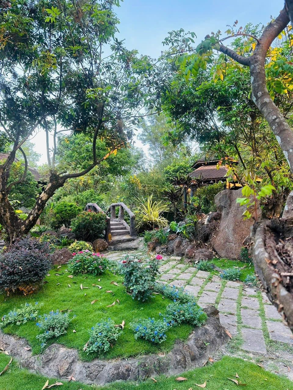 Bên trong biệt phủ 100 tỷ, rộng 16.000 m2 của Hoàng Mập: Giường ngủ 2,3 tỷ, hồ cá 4.000 đô một con- Ảnh 10.