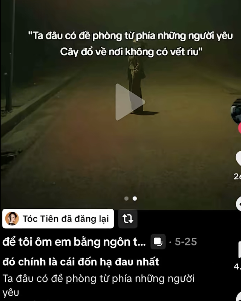 Chuyện gì đang xảy ra với vợ chồng Tóc Tiên - Touliver?- Ảnh 1.