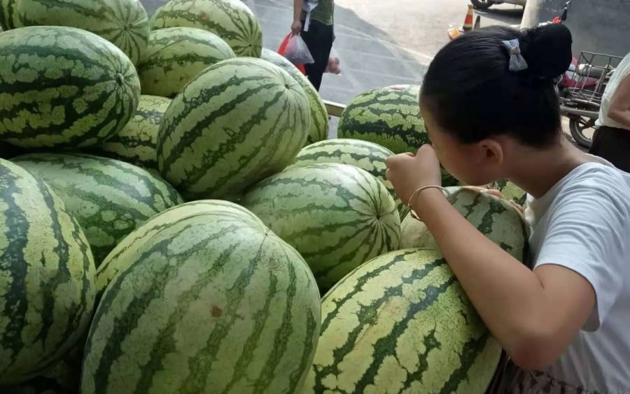 Mùa hè, chọn sao cho đúng dưa hấu chín ngọt tự nhiên: Không cần gõ, nhìn vào 1 vị trí là biết ngay- Ảnh 2.