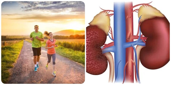 8 thói quen giúp thận khoẻ mạnh- Ảnh 1.