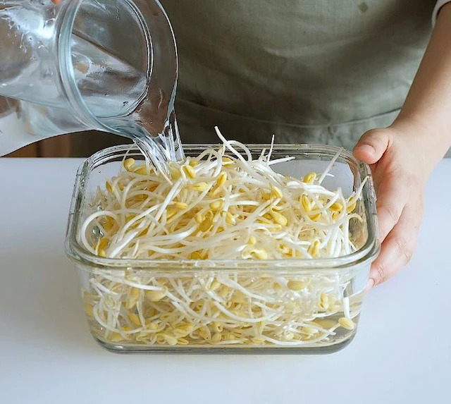 3 kiểu bảo quản giá đỗ tiện thì có tiện nhưng cực nhanh hỏng, mất dinh dưỡng còn “rước” bệnh vào nhà- Ảnh 2.
