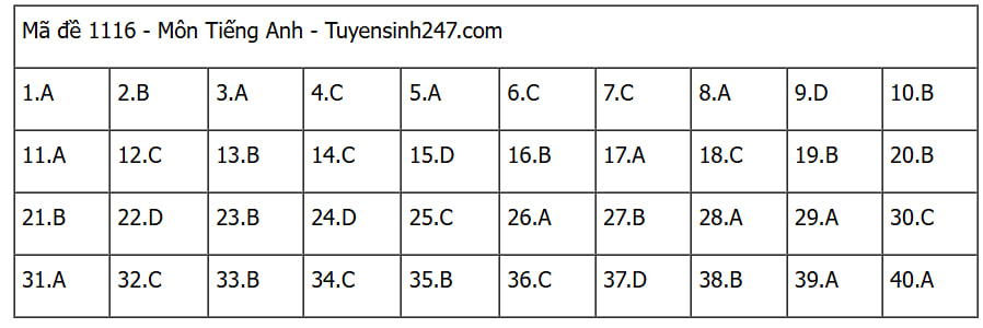 Đáp án các môn tự chọn thi tốt nghiệp THPT 2025 (Tất cả 9 môn)- Ảnh 10.