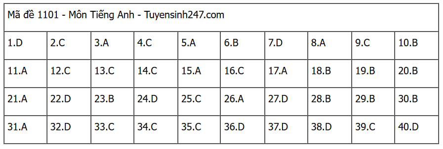 Đáp án các môn tự chọn thi tốt nghiệp THPT 2025 (Tất cả 9 môn)- Ảnh 2.
