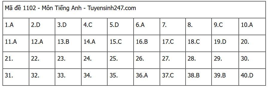 Đáp án các môn tự chọn thi tốt nghiệp THPT 2025 (Tất cả 9 môn)- Ảnh 3.