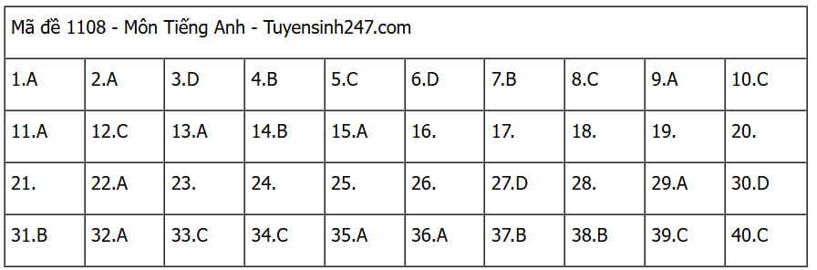 Đáp án các môn tự chọn thi tốt nghiệp THPT 2025 (Tất cả 9 môn)- Ảnh 8.