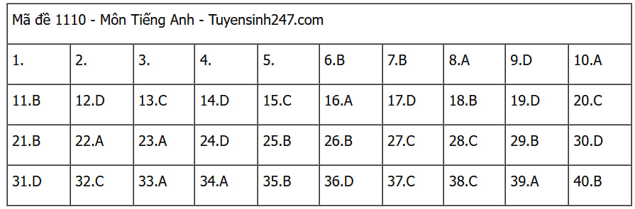 Đáp án các môn tự chọn thi tốt nghiệp THPT 2025 (Tất cả 9 môn)- Ảnh 9.