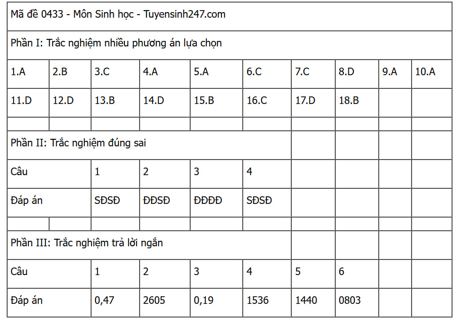 Đáp án các môn tự chọn thi tốt nghiệp THPT 2025 (Tất cả 9 môn)- Ảnh 17.