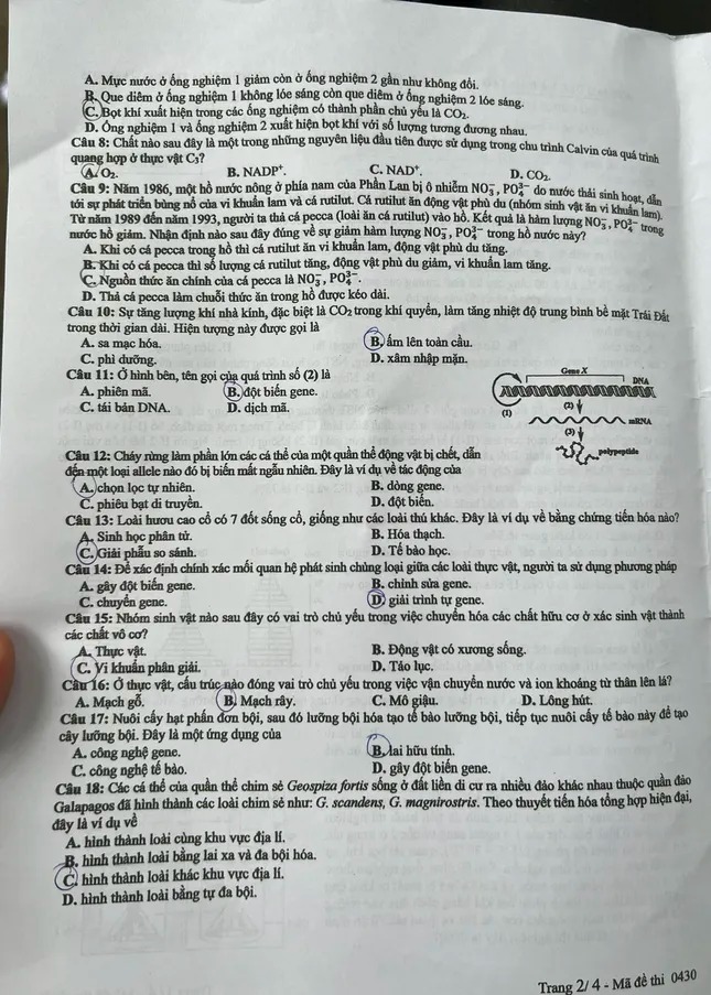 Đề các môn tự chọn thi tốt nghiệp THPT 2025 (Tất cả 9 môn)- Ảnh 17.