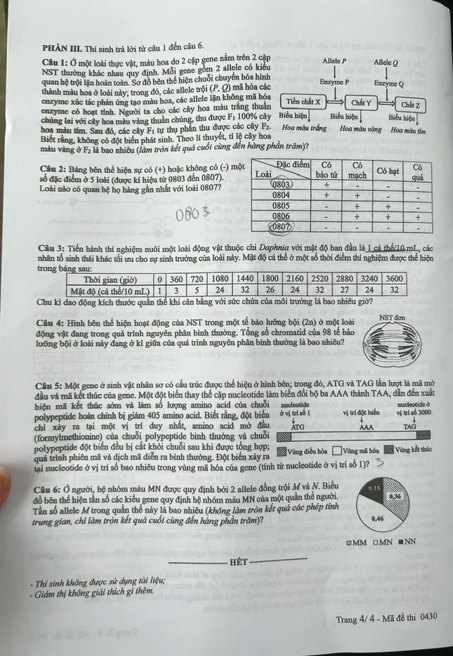Đề các môn tự chọn thi tốt nghiệp THPT 2025 (Tất cả 9 môn)- Ảnh 19.