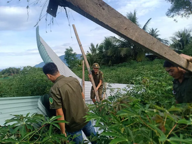 Lốc xoáy cuốn bay gần 30 mái nhà dân ở Quảng Nam- Ảnh 3.