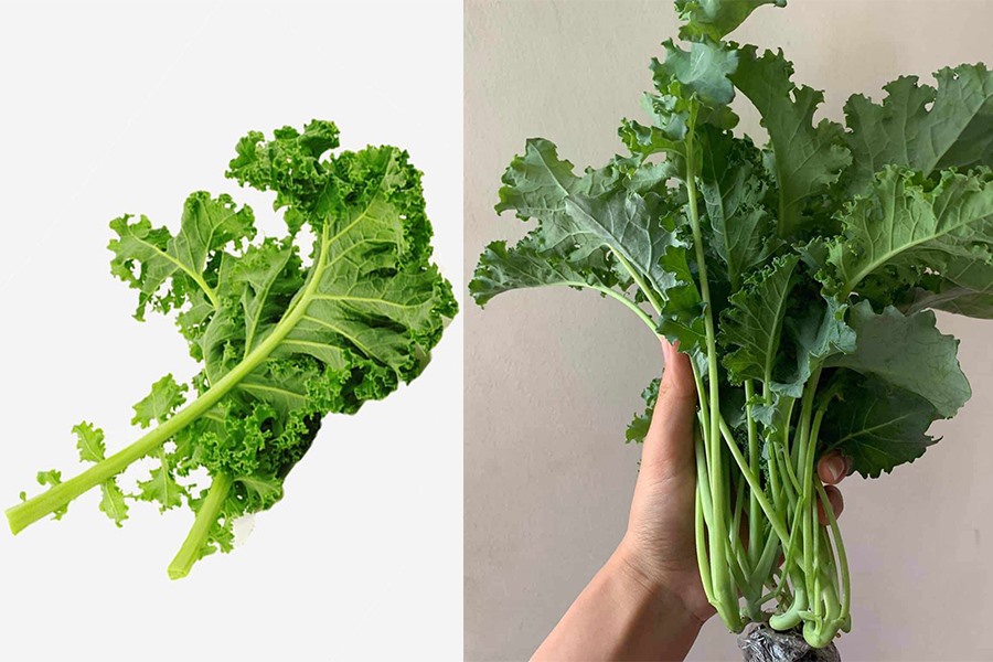 Sau tuổi 50 vẫn giữ được dáng săn chắc, làn da mượt mà: Bí quyết của nữ hoàng nhạc đồng quê là không thể thiếu một loại rau trong bữa ăn- Ảnh 4.