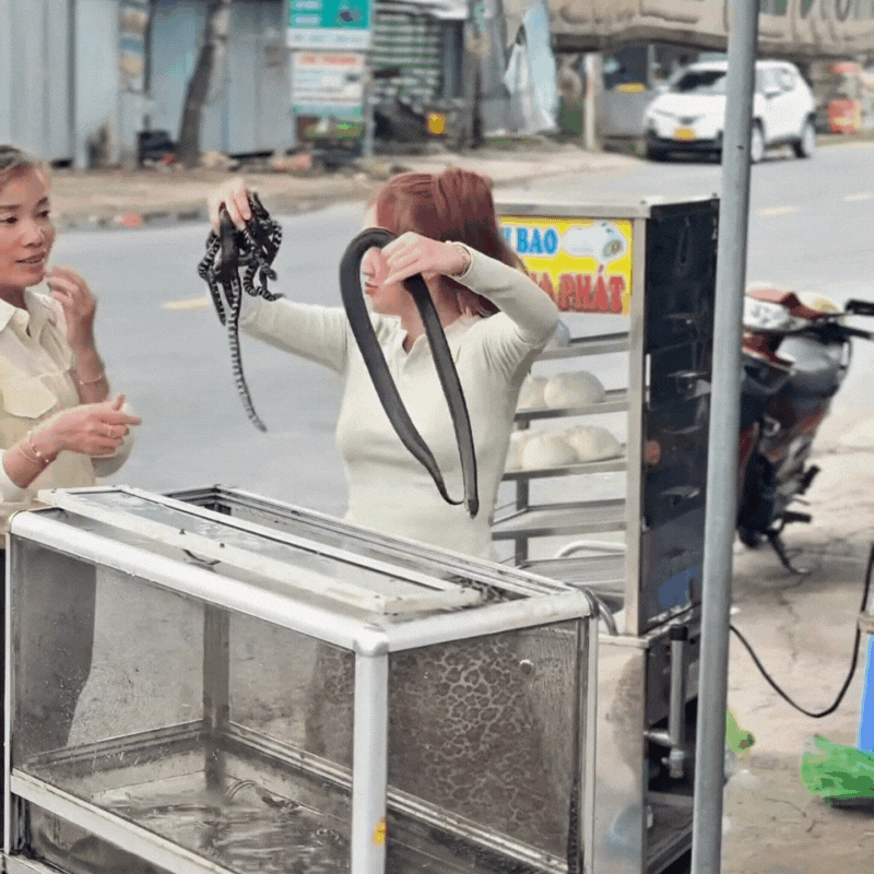 Món đặc sản "rùng mình" ở miền Tây ngày hè: Người sợ xanh mặt, người lại gật gù khen ngon- Ảnh 3.