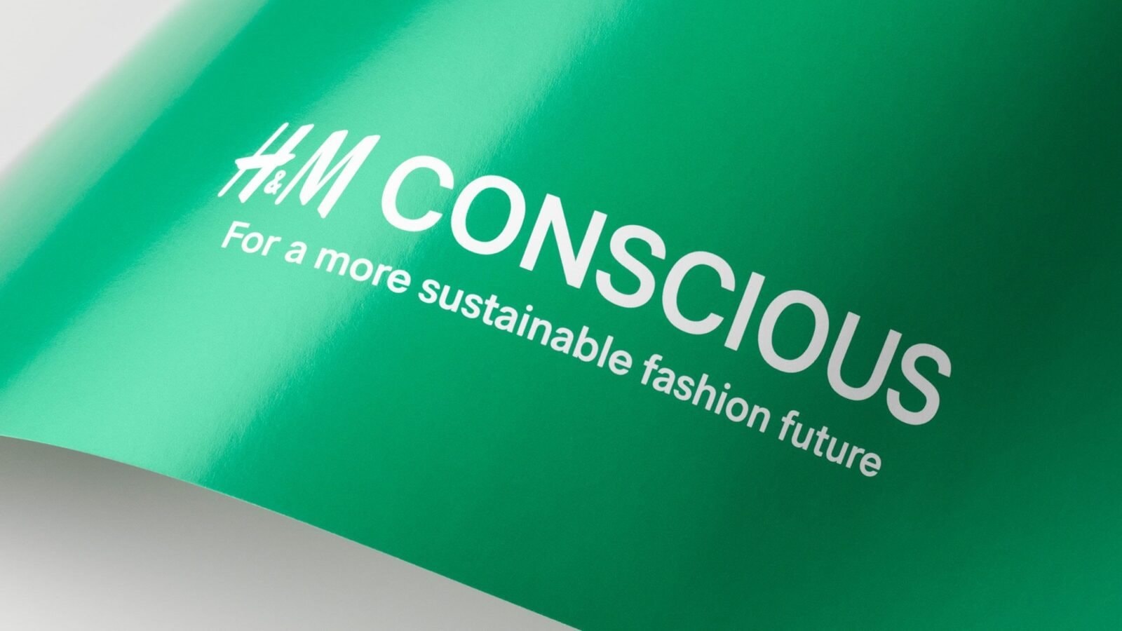 Cú lừa 'Greenwashing': Hãng thời trang quyên góp quần áo cũ để bán lại, công ty xe hơi gian lận khí thải, nhãn đồ uống bị phạt vì 'giả xanh'- Ảnh 1.