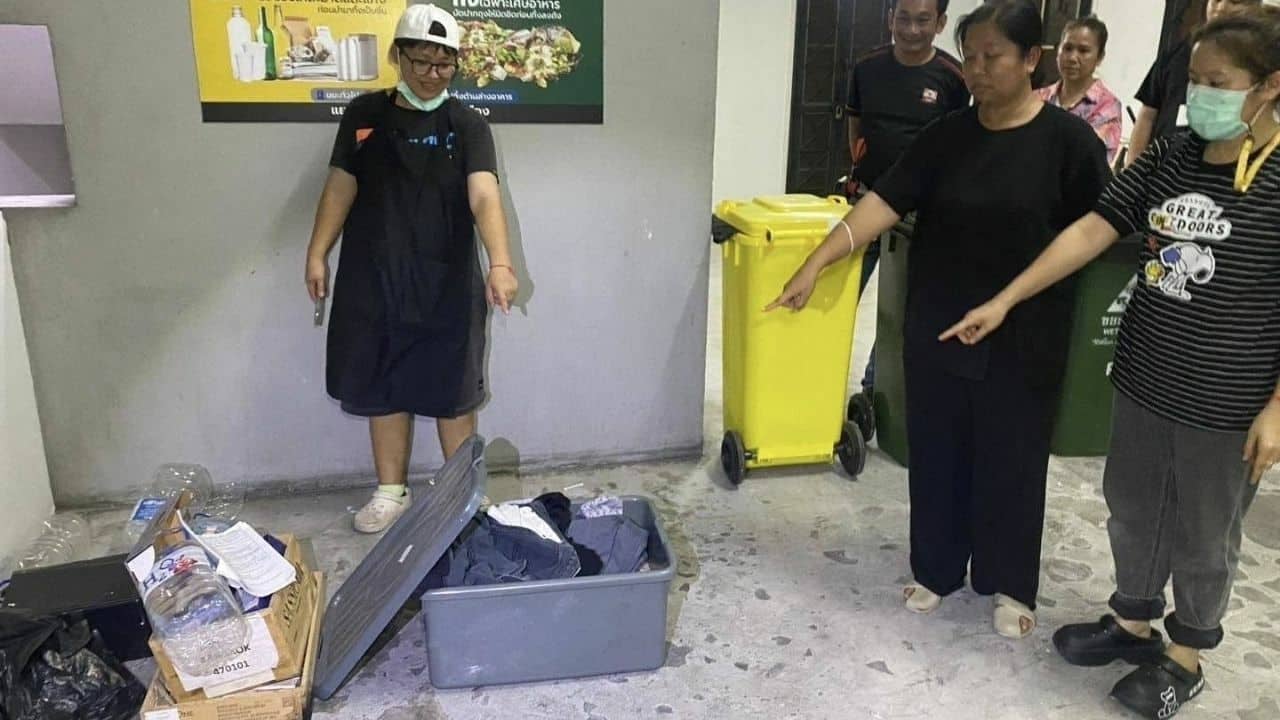 Nhặt chiếc thùng nhựa gần bãi rác, người phụ nữ hoảng hốt khi nhìn thấy 9,5 tỷ đồng- Ảnh 1.