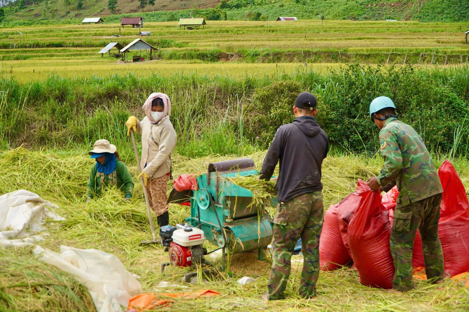 Thích thú đứng giữa Kon Tum mà như ruộng bậc thang Tây Bắc- Ảnh 12.