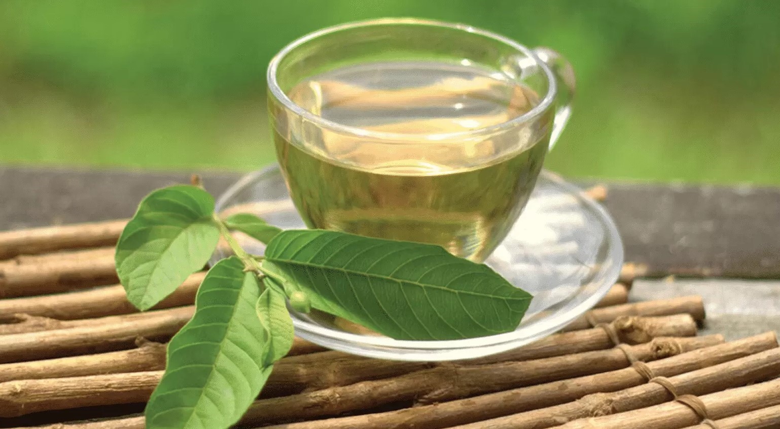 Việt Nam có loại lá chống rụng tóc, củng cố chân tóc cực tốt: Biết dùng còn khỏe tim mạch, tiêu hóa- Ảnh 3.