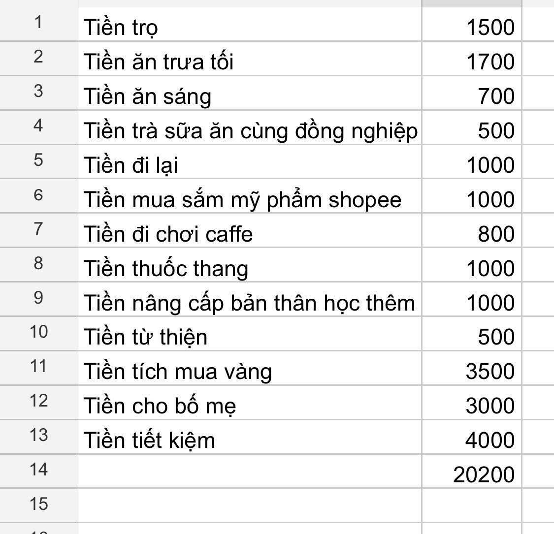 Bảng chi tiêu khó mà chê nổi của cô gái 26 tuổi ở Hà Nội- Ảnh 1.