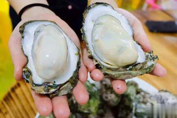 Khi mua hàu, đừng mua 3 loại hàu này: Chủ cửa hàng hải sản không bao giờ để người nhà ăn- Ảnh 1.