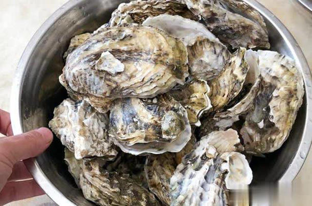 Khi mua hàu, đừng mua 3 loại hàu này: Chủ cửa hàng hải sản không bao giờ để người nhà ăn- Ảnh 2.