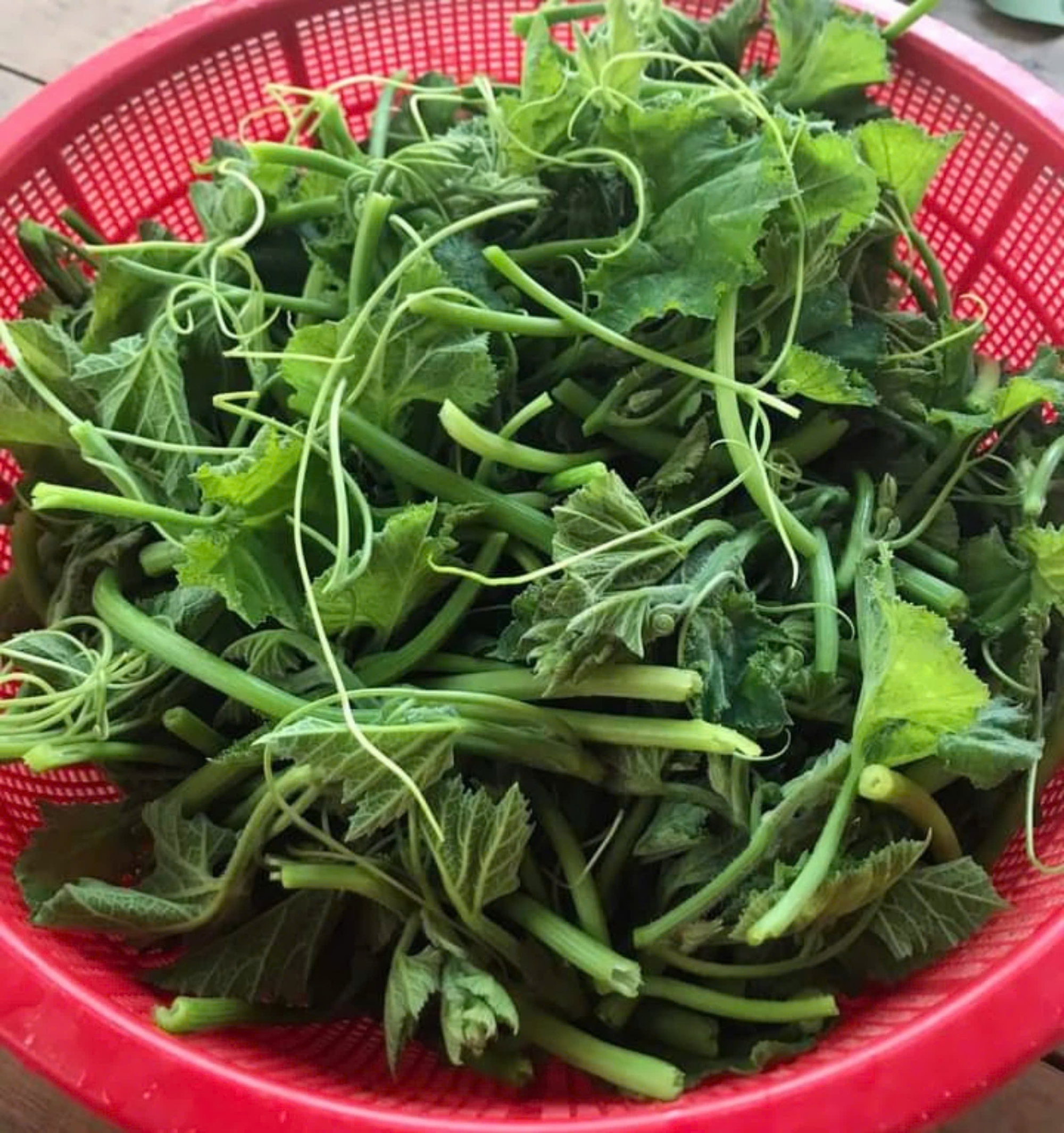 Loại rau giàu sắt hơn thịt bò, được ví như thuốc bổ gan tự nhiên, trồng ban công cực dễ- Ảnh 1.