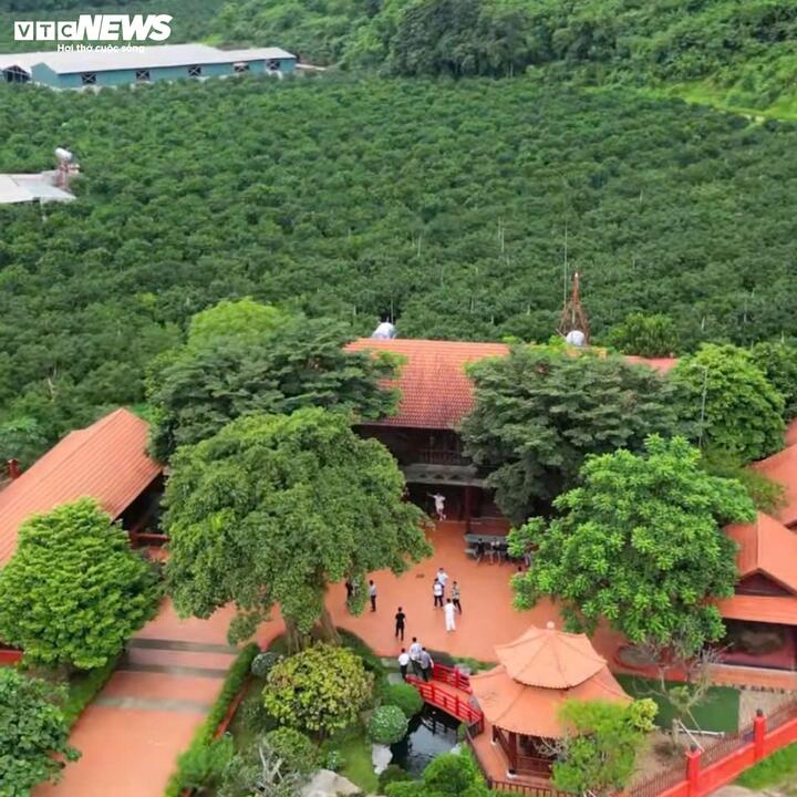 Cuộc sống xa hoa, thú chơi dị thường của ông trùm Vi "ngộ" khét tiếng xứ Thanh- Ảnh 4.