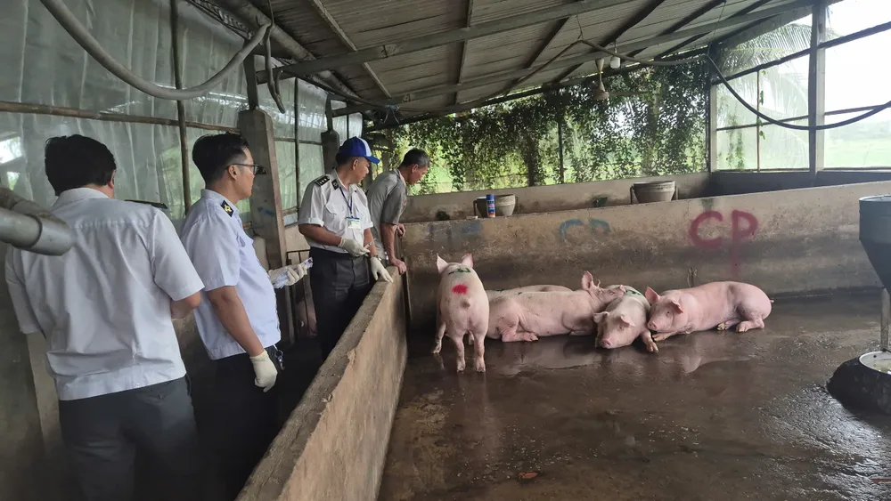 3 cửa hàng CP Fresh Shop tại Sóc Trăng tạm ngưng hoạt động- Ảnh 3.