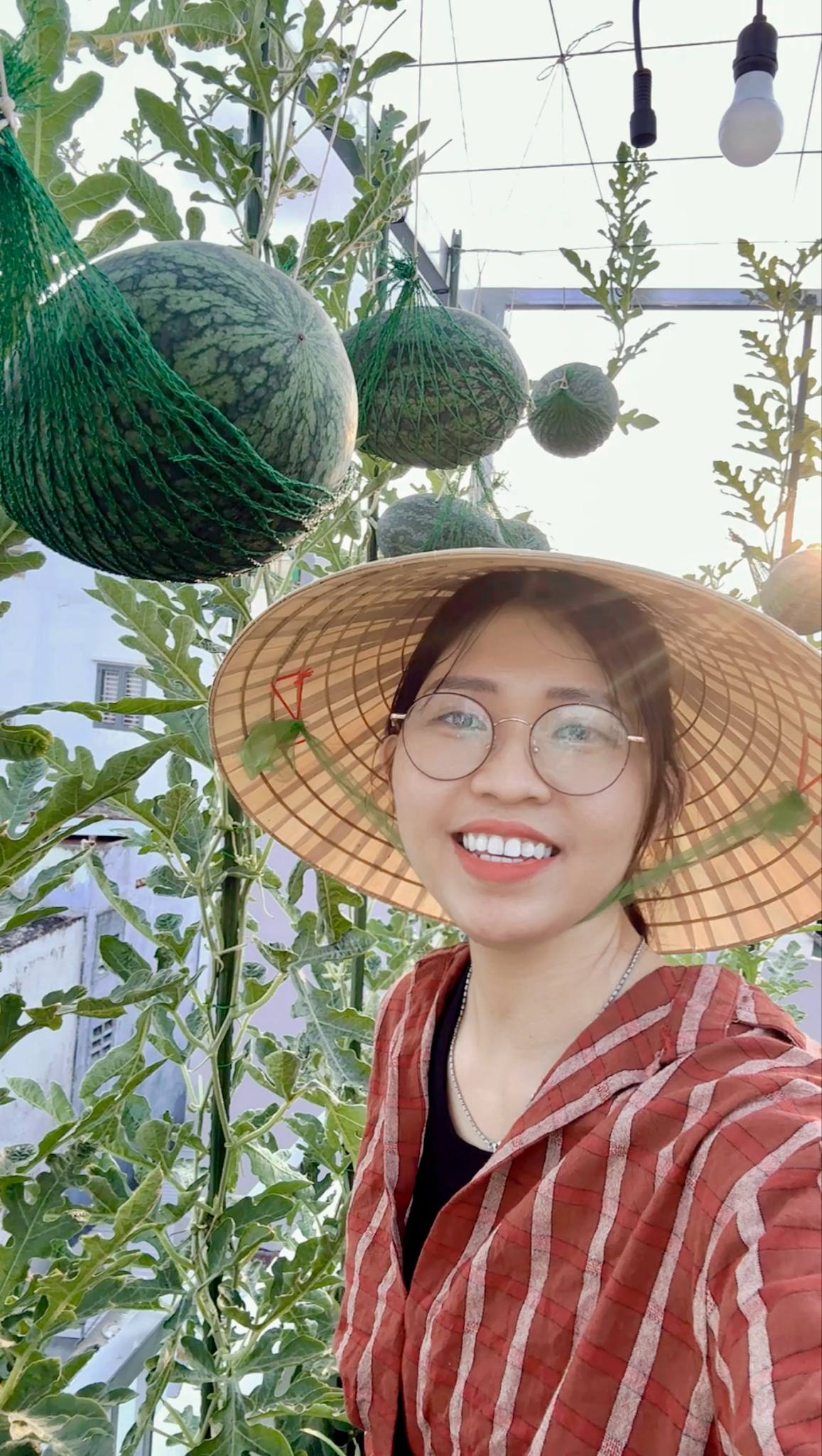 Từ tay mơ đến bà chủ vườn chỉ sau 2 tháng: Mẹ trẻ bật mí 4 kinh nghiệm trồng rau sân thượng trĩu quả khiến ai cũng bất ngờ vì “quá dễ”- Ảnh 9.