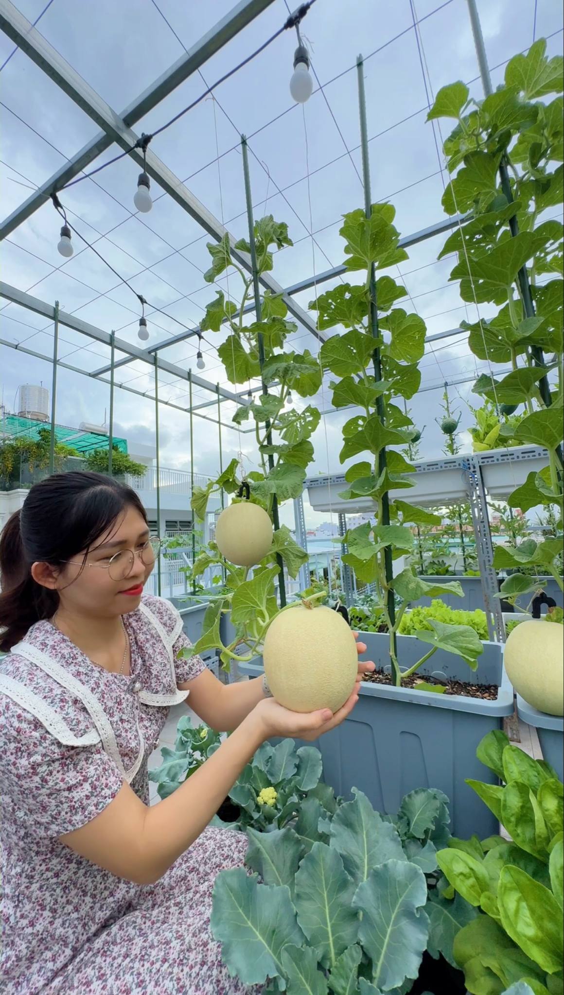 Từ tay mơ đến bà chủ vườn chỉ sau 2 tháng: Mẹ trẻ bật mí 4 kinh nghiệm trồng rau sân thượng trĩu quả khiến ai cũng bất ngờ vì “quá dễ”- Ảnh 8.