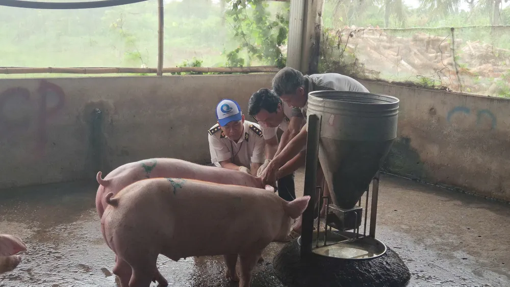 3 cửa hàng CP Fresh Shop tại Sóc Trăng tạm ngưng hoạt động- Ảnh 5.