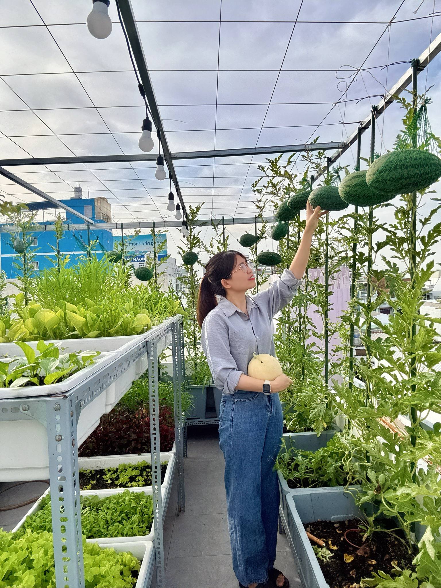 Từ tay mơ đến bà chủ vườn chỉ sau 2 tháng: Mẹ trẻ bật mí 4 kinh nghiệm trồng rau sân thượng trĩu quả khiến ai cũng bất ngờ vì “quá dễ”- Ảnh 2.