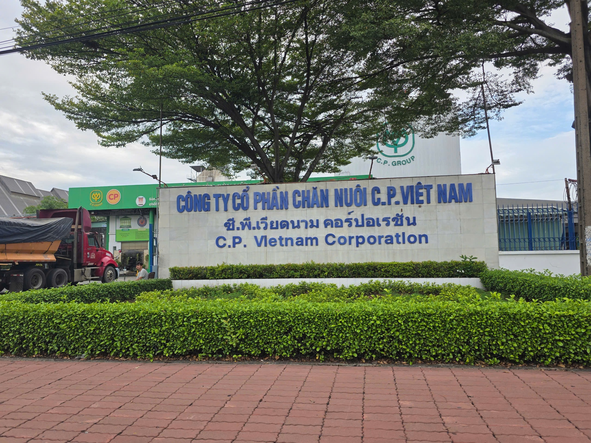 Công ty C.P Việt Nam từng bị UBND tỉnh Đồng Nai xử phạt gần 800 triệu đồng- Ảnh 1.