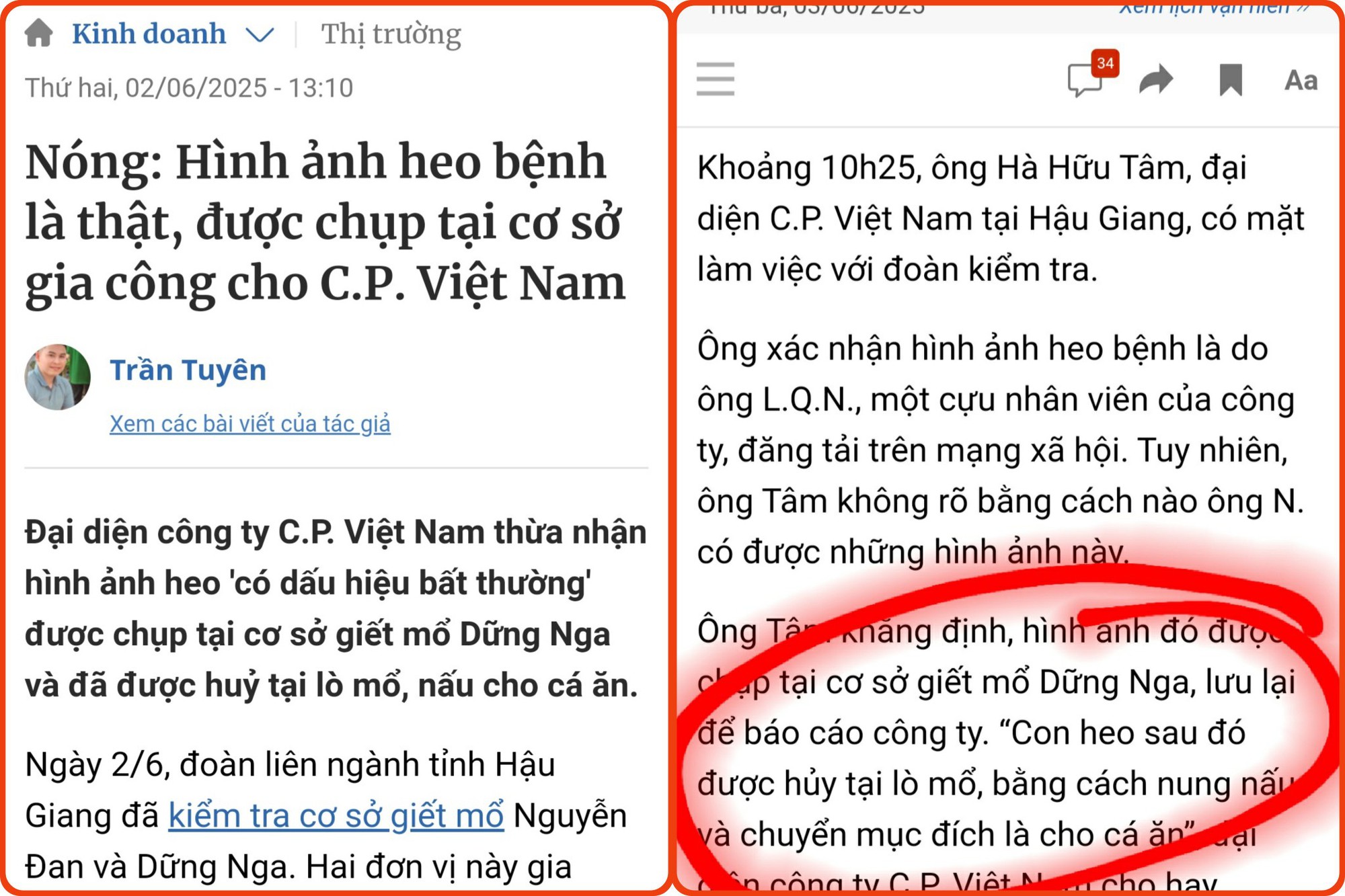 Thịt lợn bệnh làm thức ăn cho cá, chỉ cần 