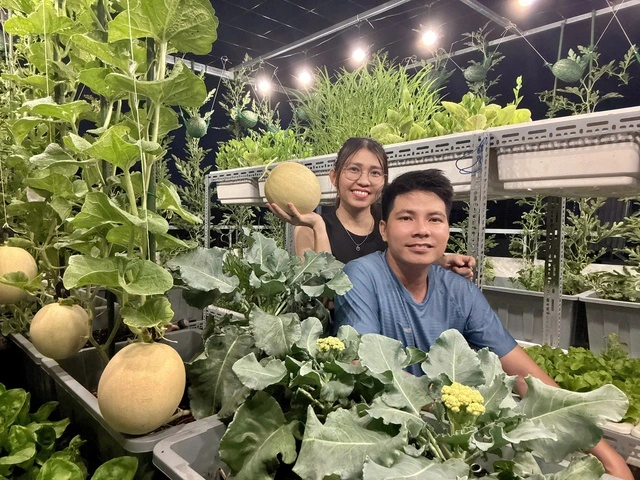 Từ tay mơ đến bà chủ vườn chỉ sau 2 tháng: Mẹ trẻ bật mí 4 kinh nghiệm trồng rau sân thượng trĩu quả khiến ai cũng bất ngờ vì “quá dễ”- Ảnh 1.